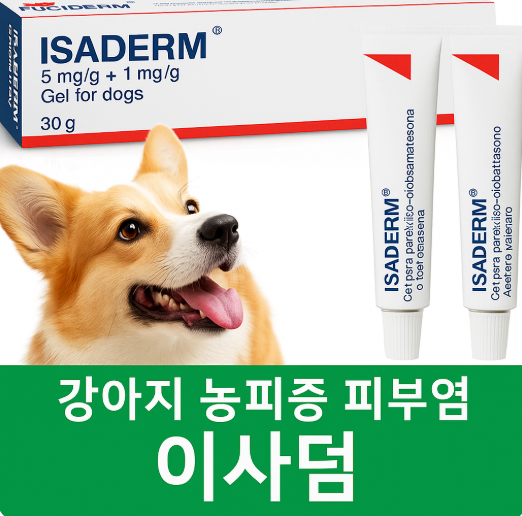 이사덤연고 관련 사진