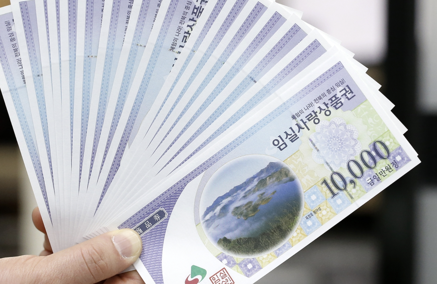 정책 취지와 실제 운영의 괴리