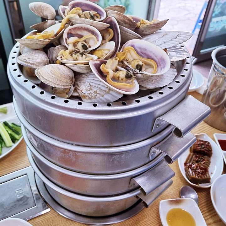 청정 남해바다를 겹겹이 새조개 샤브샤브 코끼리조개 회 4단 해물찜 거제 거제도 맛집 추천 생방송투데이 자족식당