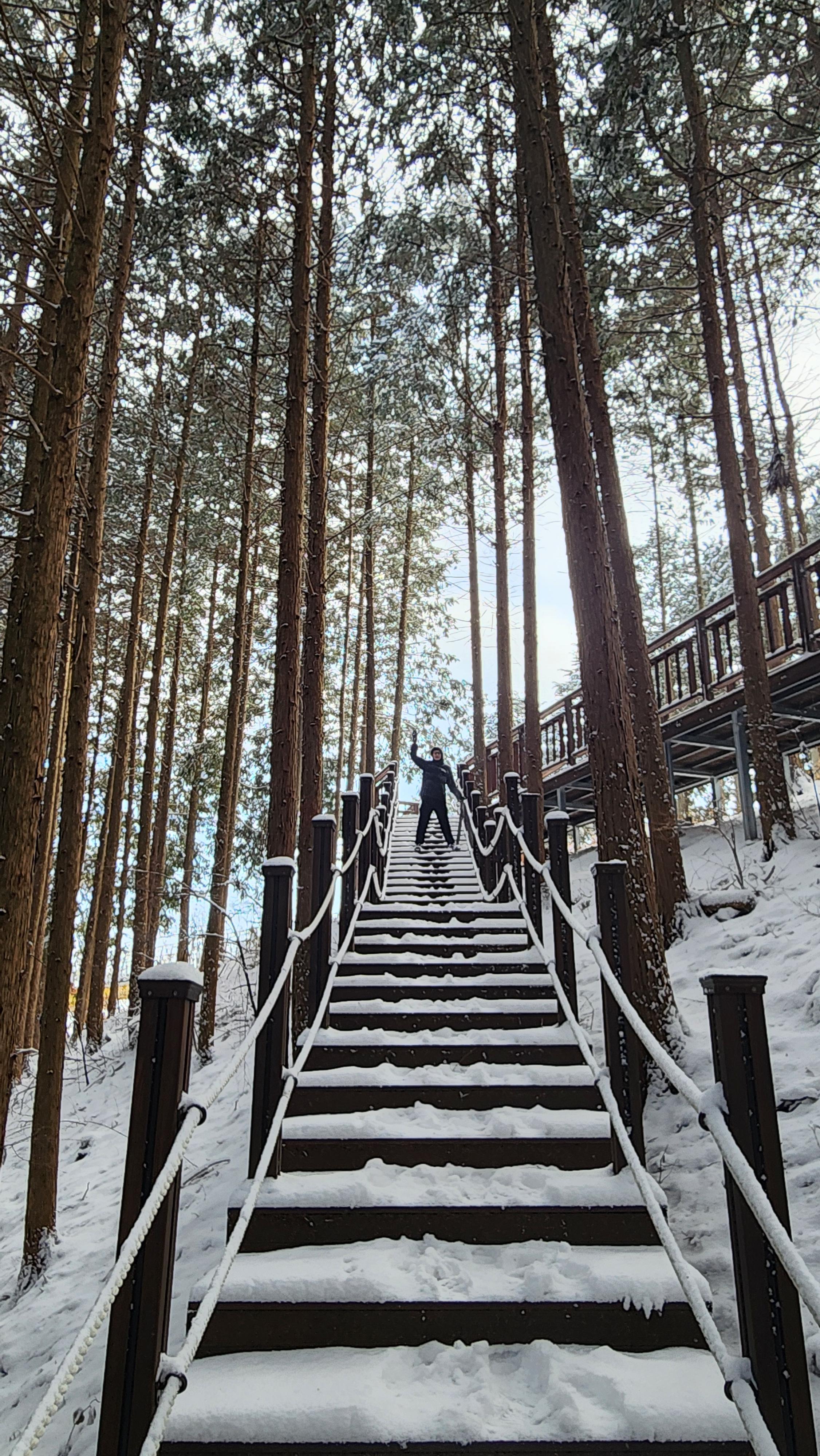 축령산 전망대 바로 아래 데크길