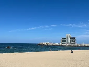 강릉 안목해변 카페거리 추천 인생샷 스팟과 카페 리스트_2