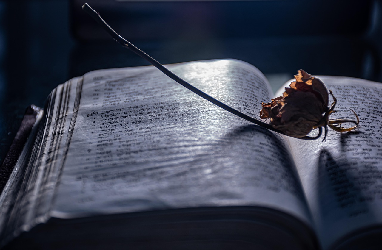 카카오뱅크, 주택담보대출 중도상환해약금 6개월 추가 면제!