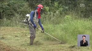 벌초대행 가격비교