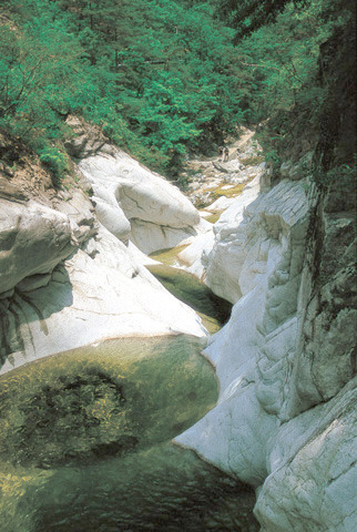 응봉산 등산코스 지도