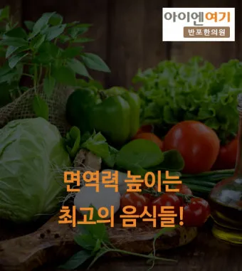 면역력 높이는 하루 루틴과 시간대별 건강 습관_25