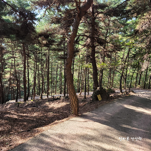 문수사-아기부처님