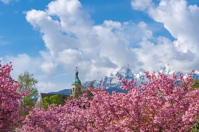 진해 벚꽃축제 &amp;#124; 현지인 추천 벚꽃명소 &amp;#124; 진해 군항제 페스티벌 &amp;#124; 진해 가볼만한 곳 