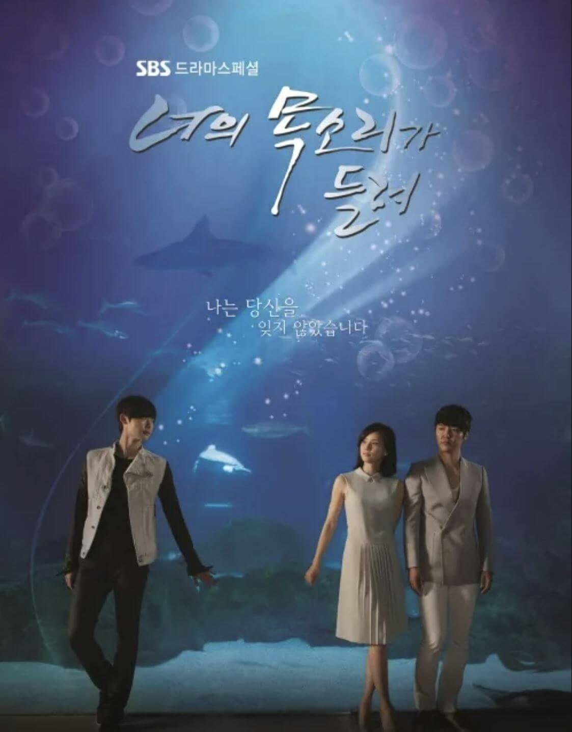 너의 목소리가 들려 포스터