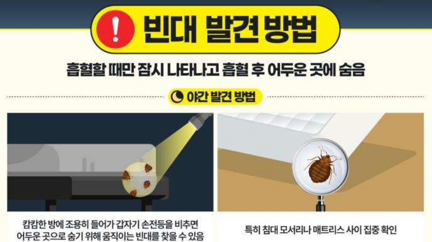 빈대 찾는 방법