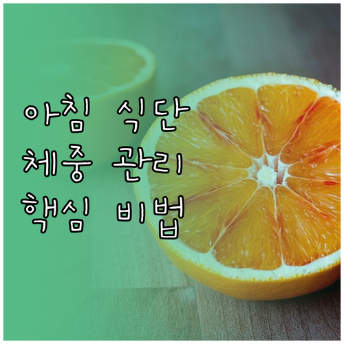 다이어트 핵심: 균형 잡힌 아침 식단..