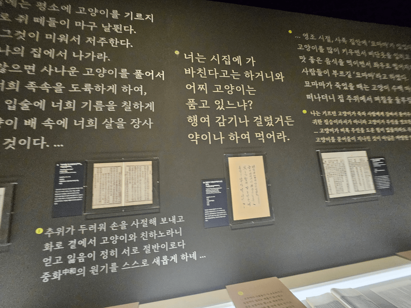 국립민속박물관, 고양이전시, 광화문전시, 종로전시, 추천전시, 어린이전시추천