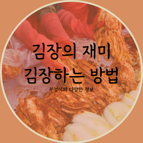 집에서 즐기는 김장의 재미, 김장하는 방법 알아보기