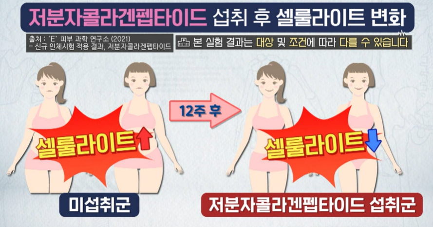 저분자 콜라겐 펩타이드 효능