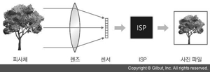 디지털 사진 현상