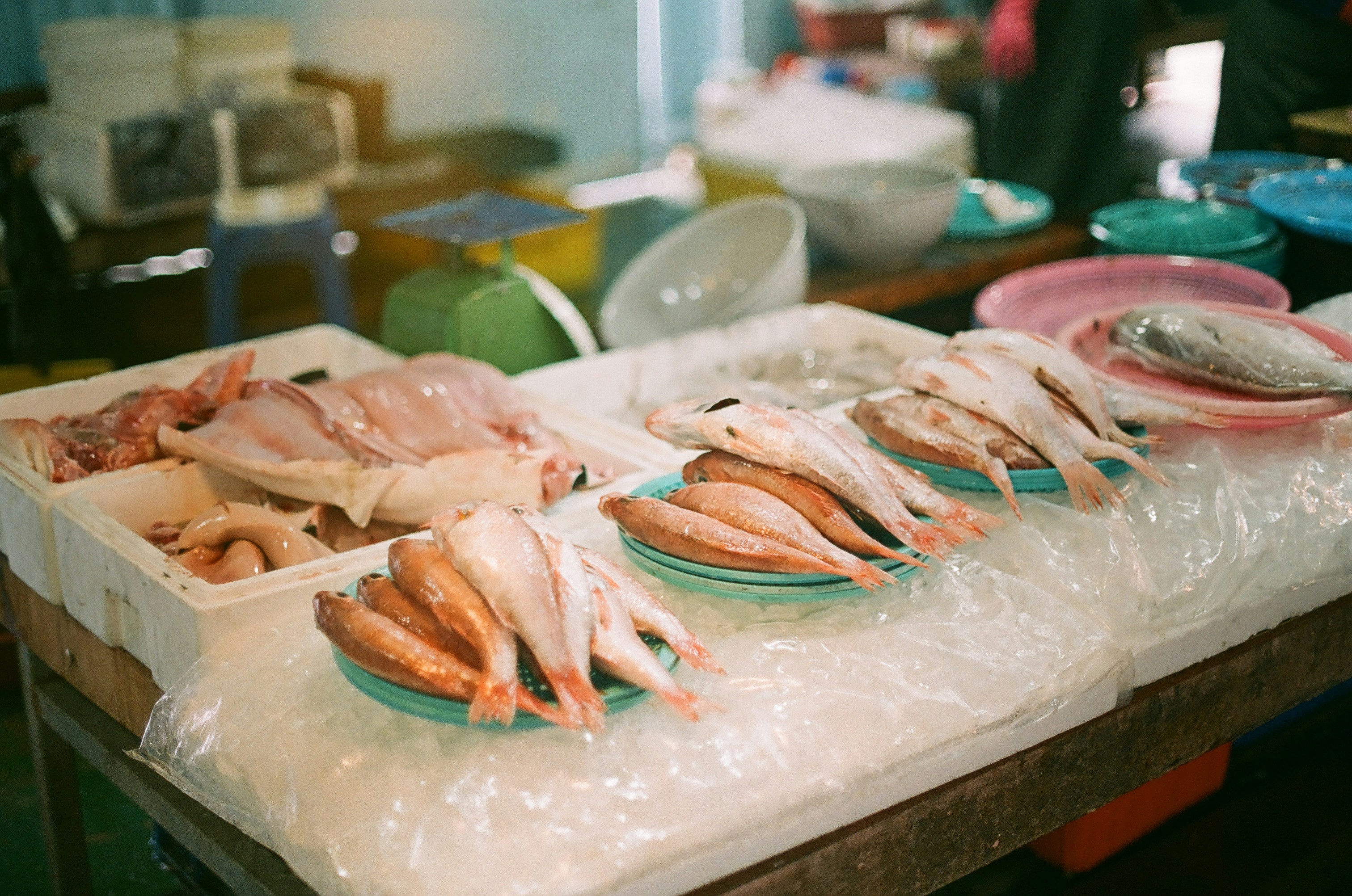 제주도 남쪽 여행지 추천