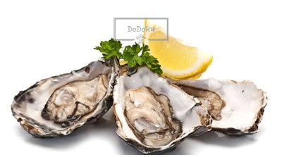 다이어트에-좋은-가을-제철음식-굴