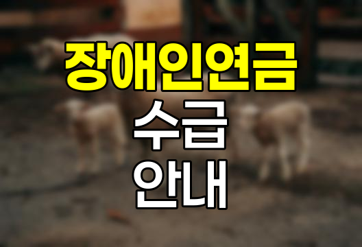 장애인연금 수급 자격과 신청 절차