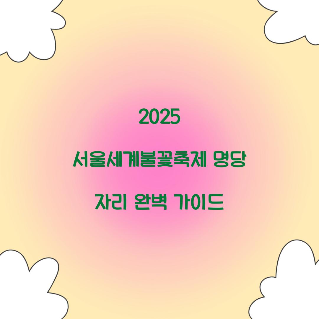 2025 서울세계불꽃축제 명당