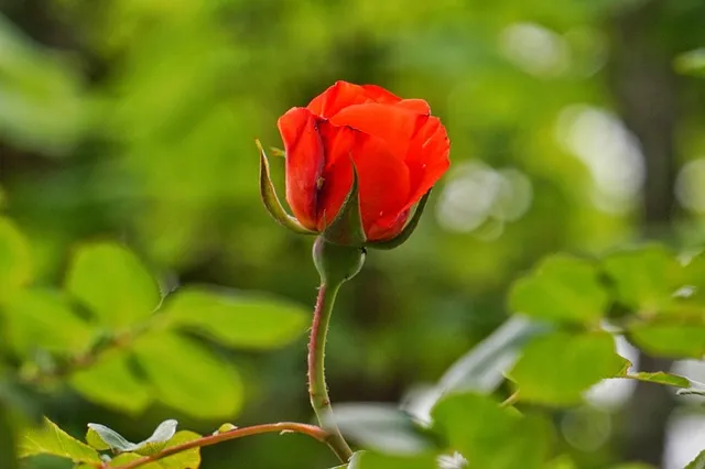 5월 쏘가리 금어기 시작 전국 금지 기간 완벽 정리와 낚시 규정_9