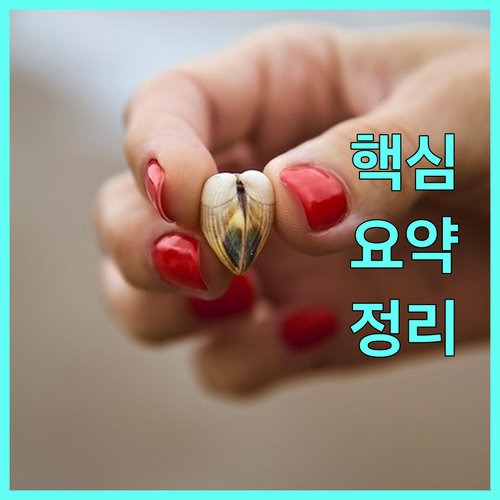 리프팅 레이저 시술 효과 언제부터 얼