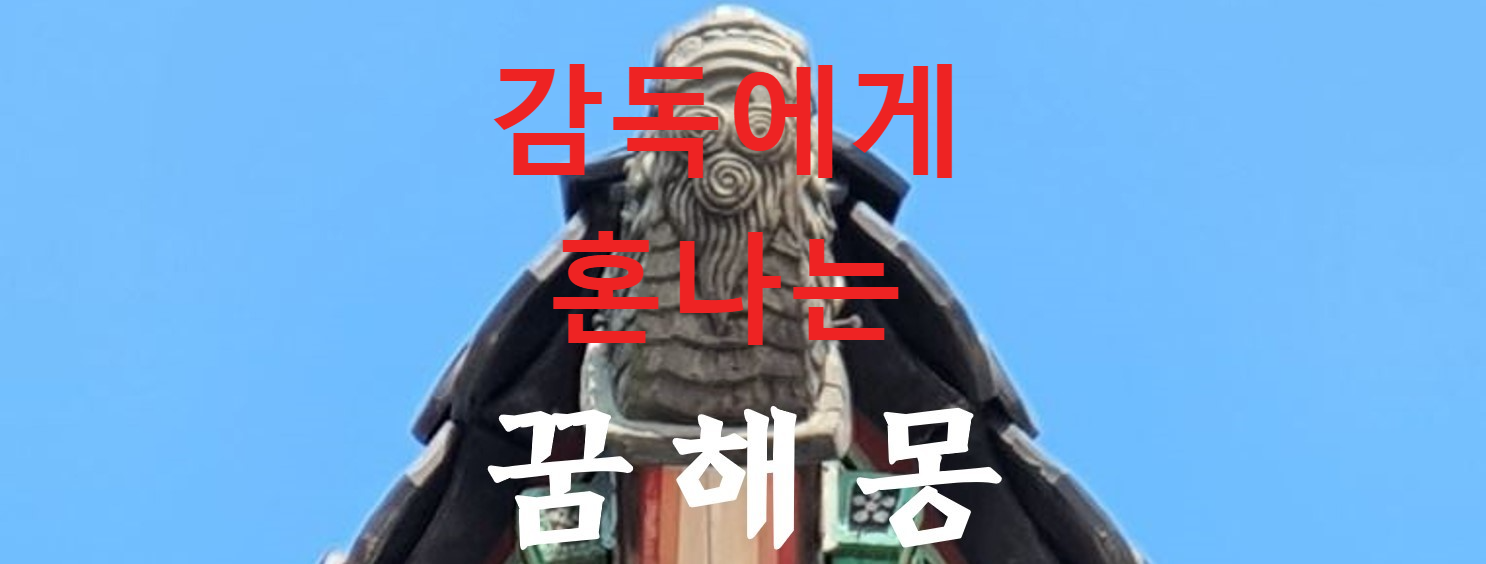 꿈해몽