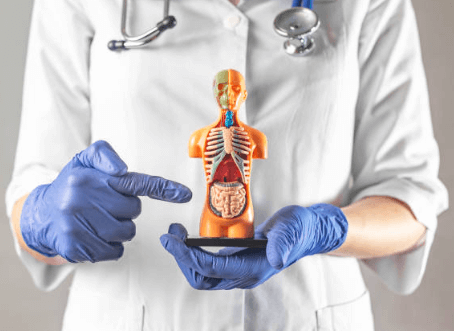 대장내시경 전날 음식 주의사항 먹어도 되는 음식