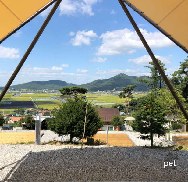 경기-인천-스톤캠핑장-예약-방법-애견-동반-가격-주소-시간-후기