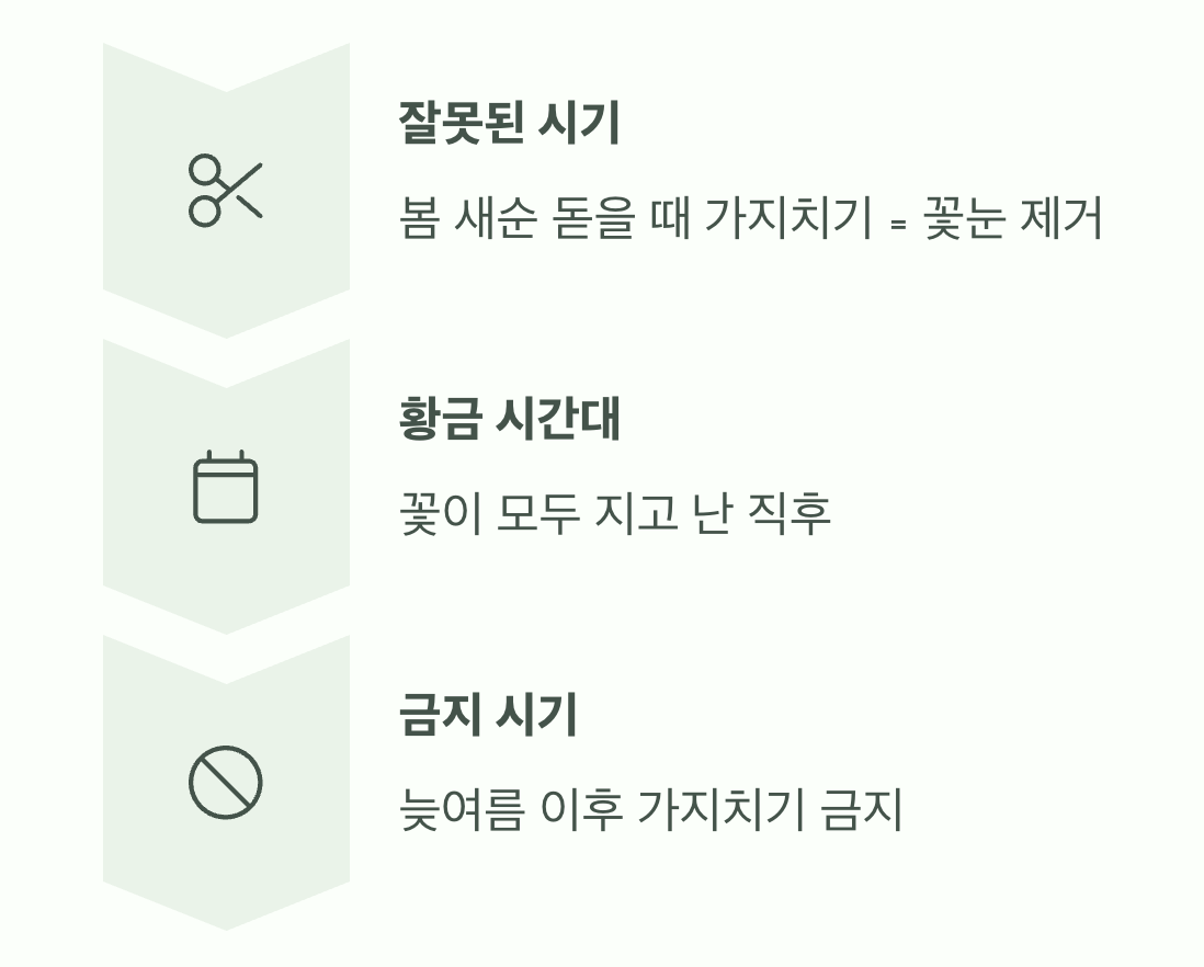 가지치기&amp;#44; &amp;#39;꽃 진 후&amp;#39;가 황금 시간대