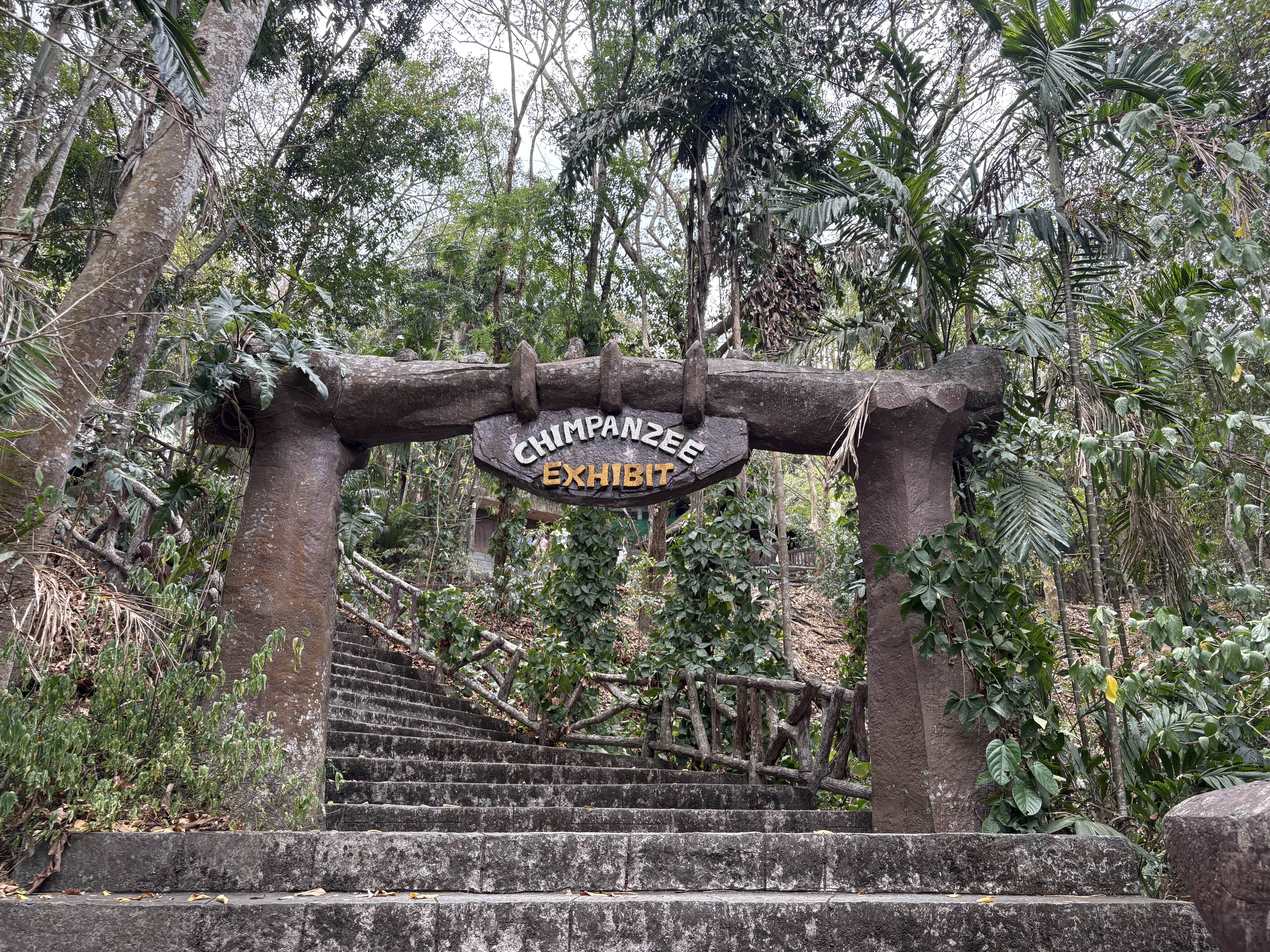 카오키여우 오픈주 볼트