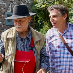 치매 돈안드는 예방법 관리 생활습관