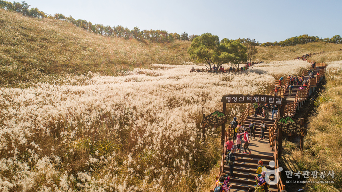 포천 명성산 억새꽃축제 가을에 여행하기 좋은곳 추천