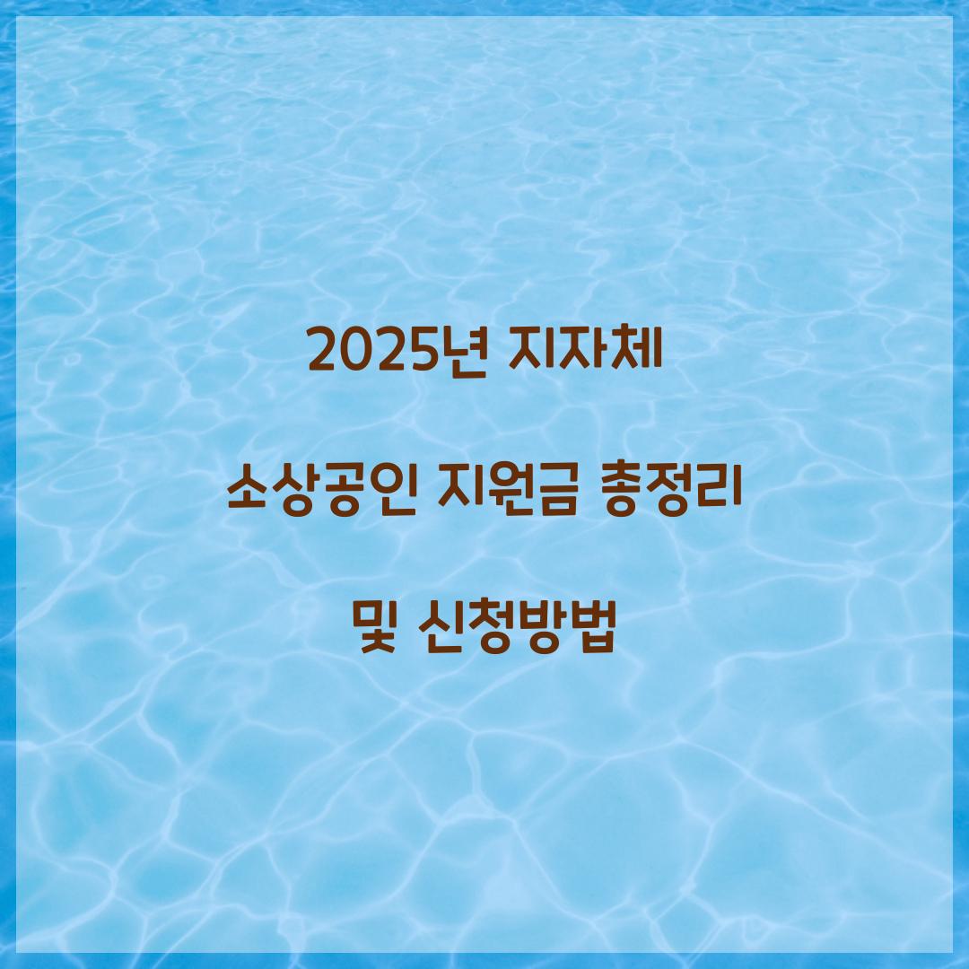 2025년 지자체 소상공인 지원금