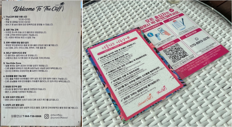 제주도 애견동반