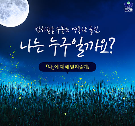 무주 반딧불축제