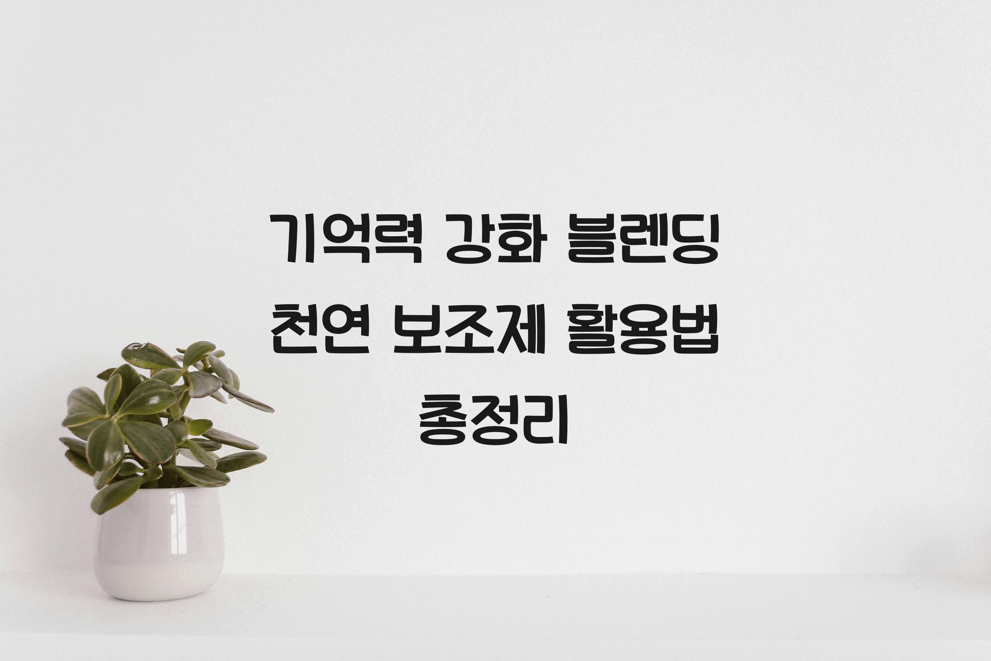 기억력 강화 블렌딩 천연 보조제
