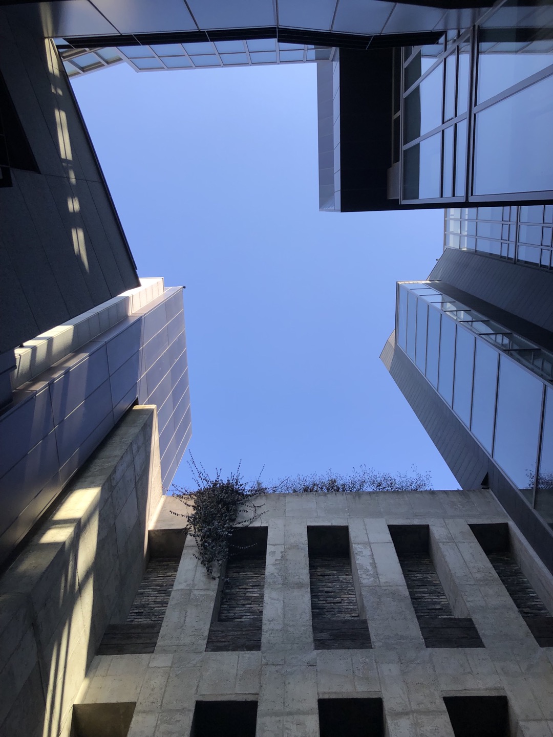 타데우스-로팍-건물-스카이라인