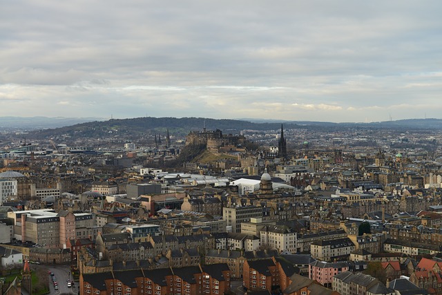 시냅스 연결 강화 훈련 실험기: 뇌가 기억을 잡는 방법”