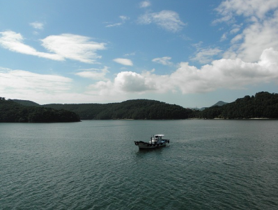 멍게 전국 맛집