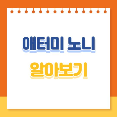 애터미 노니 알아보기