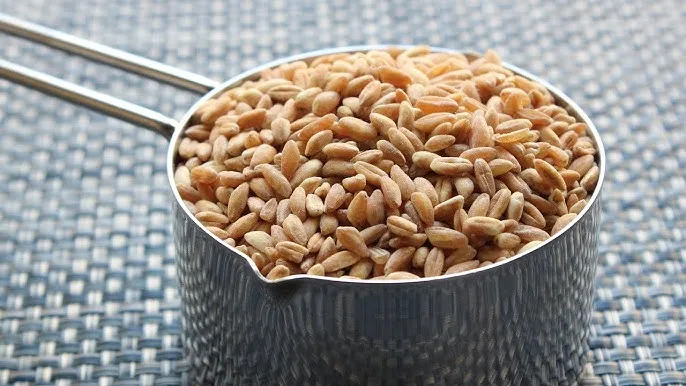 파로 섭취 시 주의사항과 글루텐 민감성 해결 방법