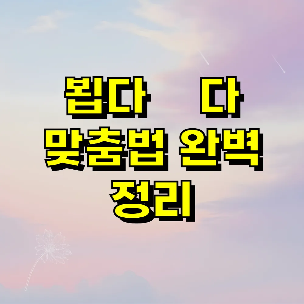 뵙다 봽다 맞춤법 완벽 정리