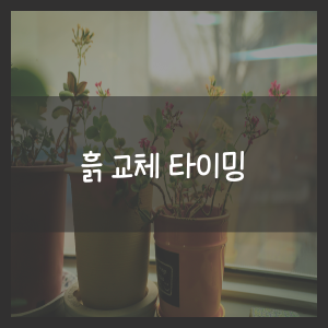 흙 교체 타이밍