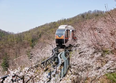 디지털 온누리&amp;#44; 10% 할인 구매 완벽 가이드