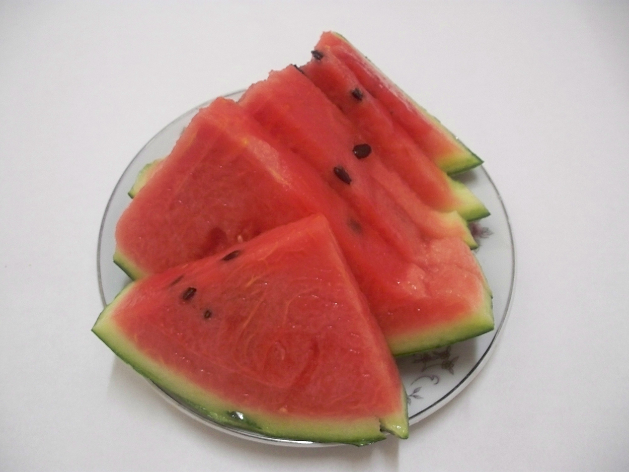 🍉 수박 껍질, 이젠 헷갈리지 마세요! 올바른 분리수거 방법 총정리 (음식물 vs 일반 쓰레기)