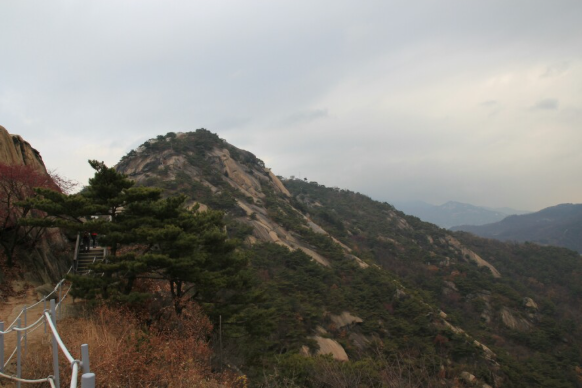 인왕산 새우니 괴담의 기원과 구조