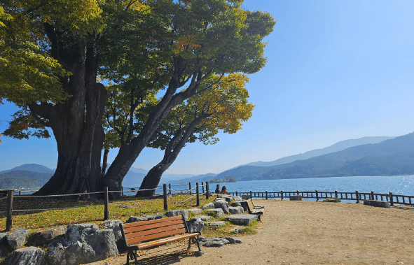 경기도 단풍명소