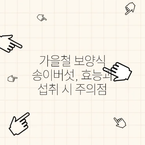 가을철 보양식 송이버섯, 효능과 섭취 시 주의점