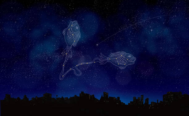 별자리 탐험 시리즈: 물고기자리