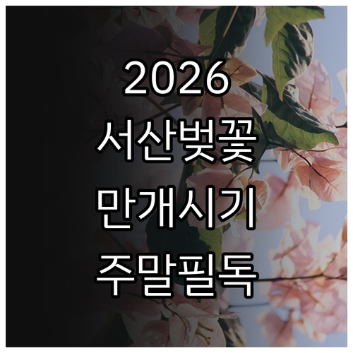 2026 서산 벚꽃 명소별 만개 시기..