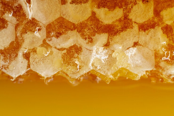 프로폴리스 복용법